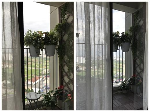 masteri thao dien apartments for rent in district 2 hcmc D2142021 (18)